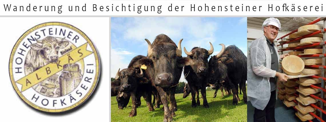 Wanderung und Besichtigung der Hohensteiner Hofkäserei